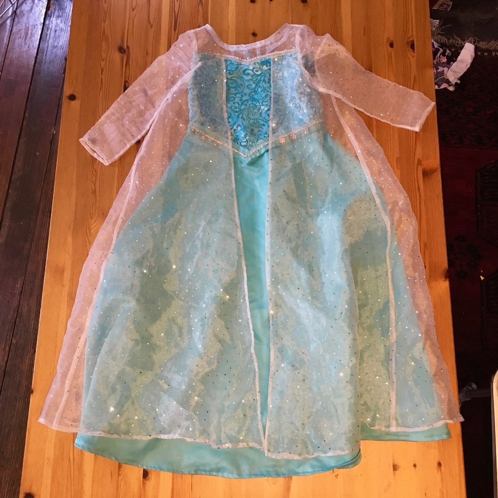 Elsa Frozen Costume Handmade Dress